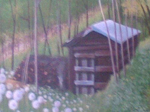 q zoom - Recensione - Nokia E51