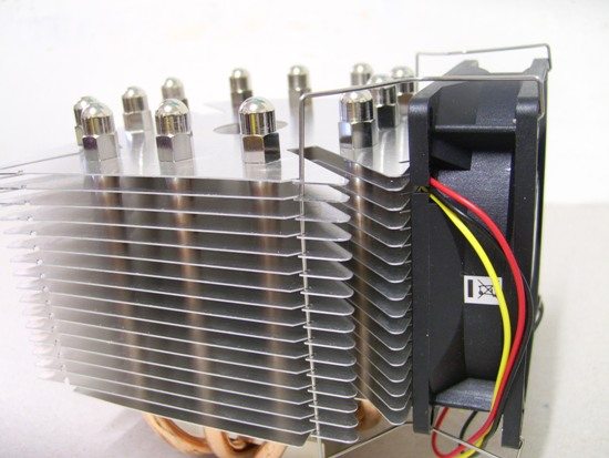 mninja16 - Recensione - Scythe Ninja Mini