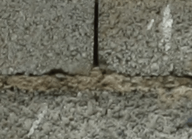 Recensione - Obiettivo Canon EF 50mm f/1.8 II 56 center - Recensione - Obiettivo Canon EF 50mm f/1.8 II