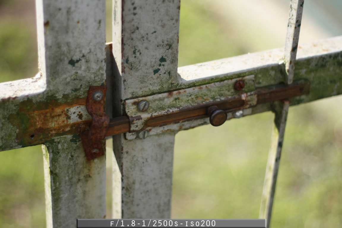 Recensione - Obiettivo Canon EF 50mm f/1.8 II f1.8 2500 iso200 - Recensione - Obiettivo Canon EF 50mm f/1.8 II